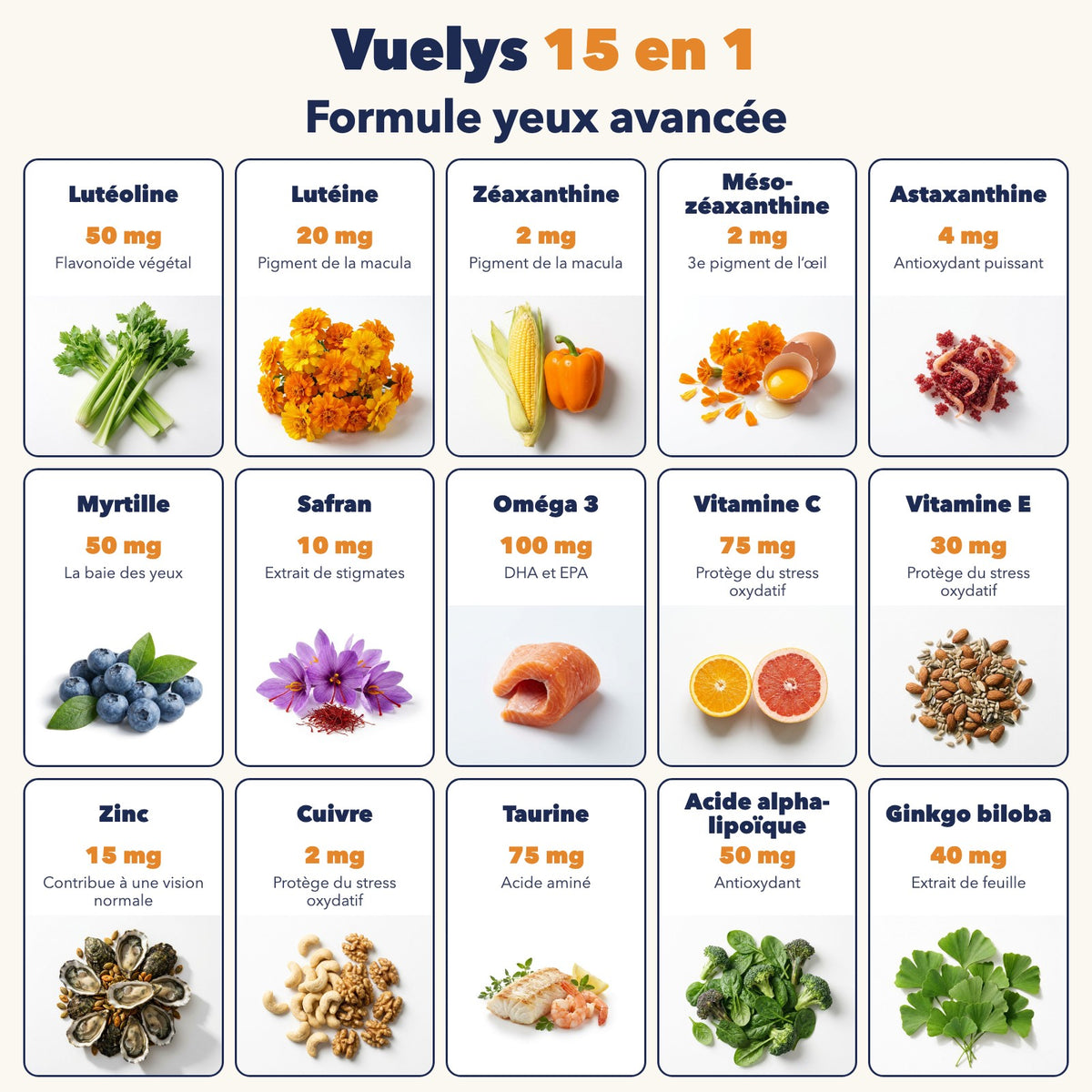 Les 15 ingrédients de Vuelys et leurs sources naturelles : lutéine, zéaxanthine, myrtille, safran, oméga 3, zinc